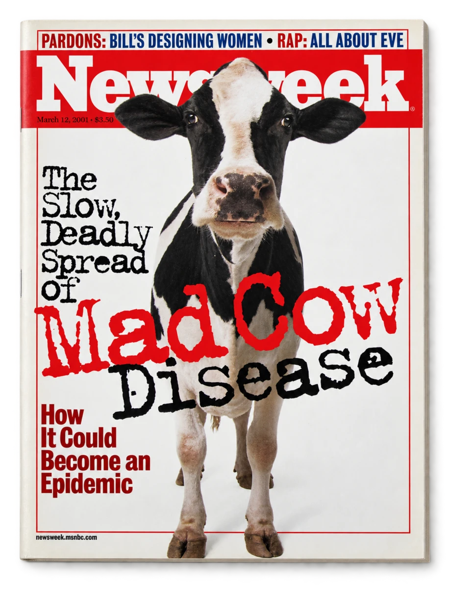 Couverture de Newsweek, 12 mars 2001 : The Slow, Deadly Spread of Mad Cow Disease
