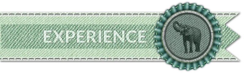experience button