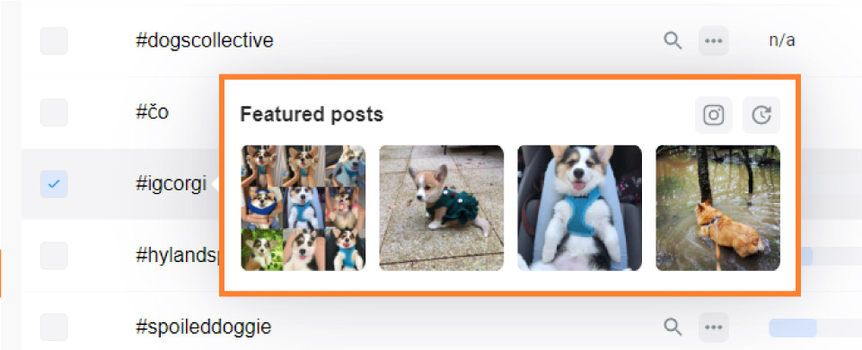 Flick related posts for the corgi hashtag #igcorgi