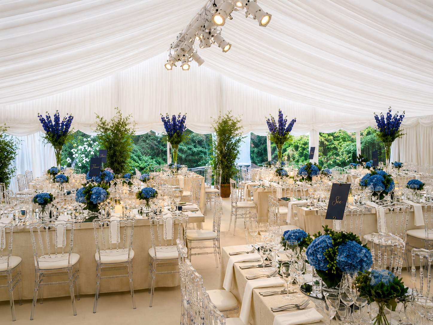Marquee Wedding Party