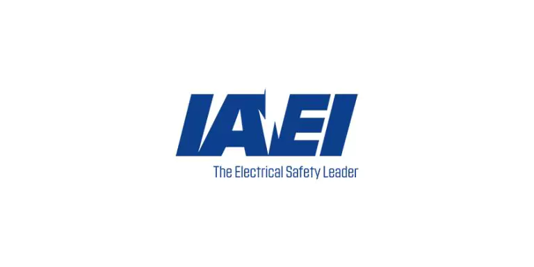 IAEI Logo