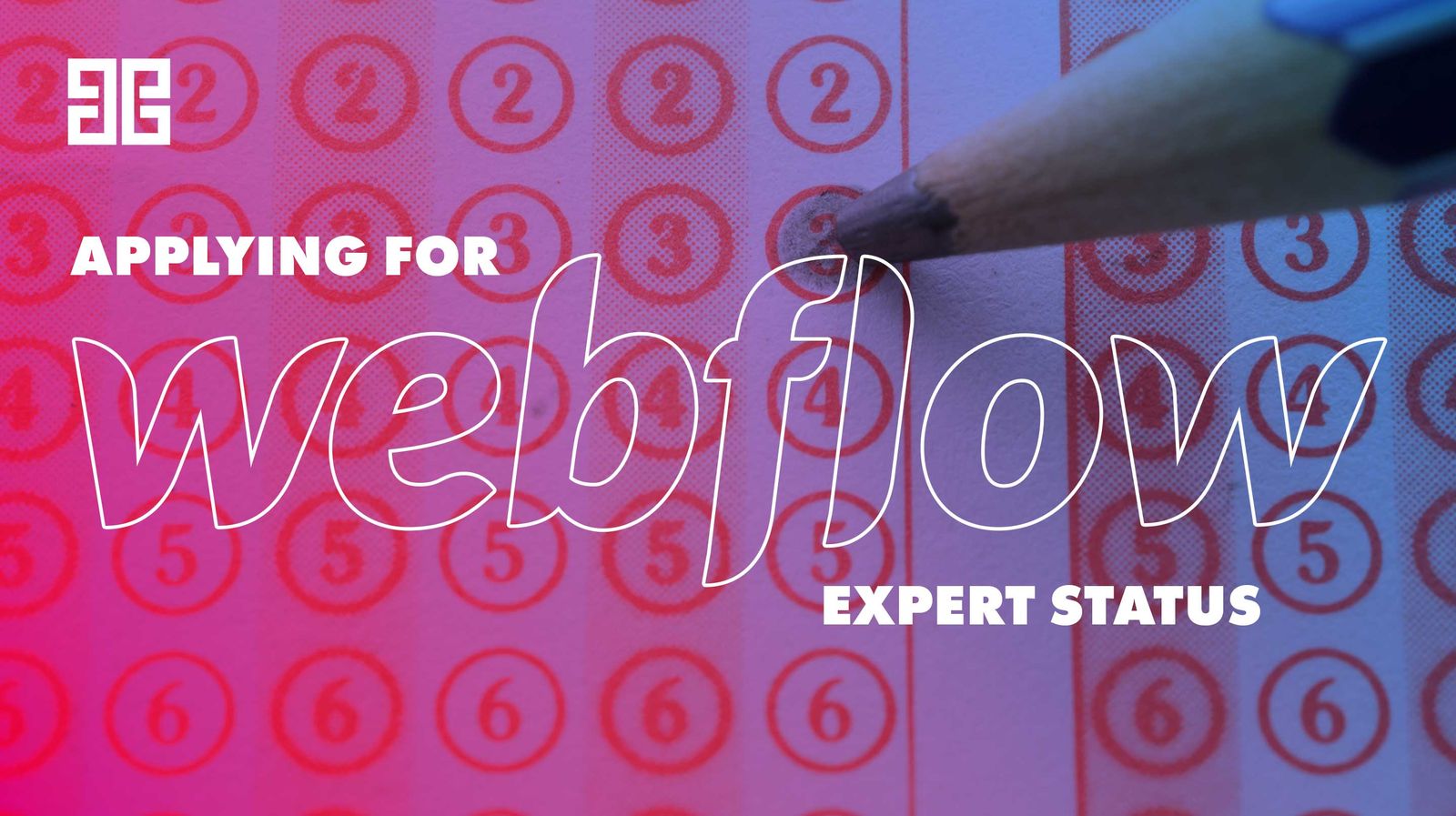 The Long Road to Applying For Webflow Expert StatusThe Long Road to ...