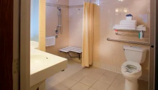Roll-in Shower Accessible Bathroom