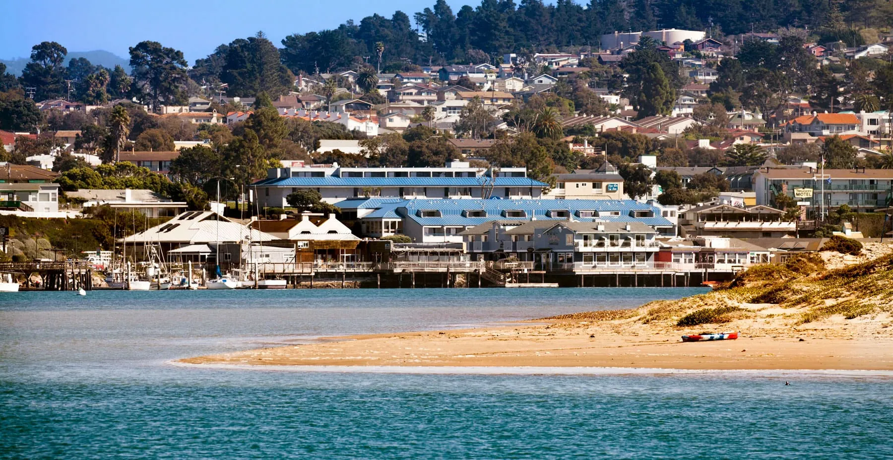 photo of blue sail from coast