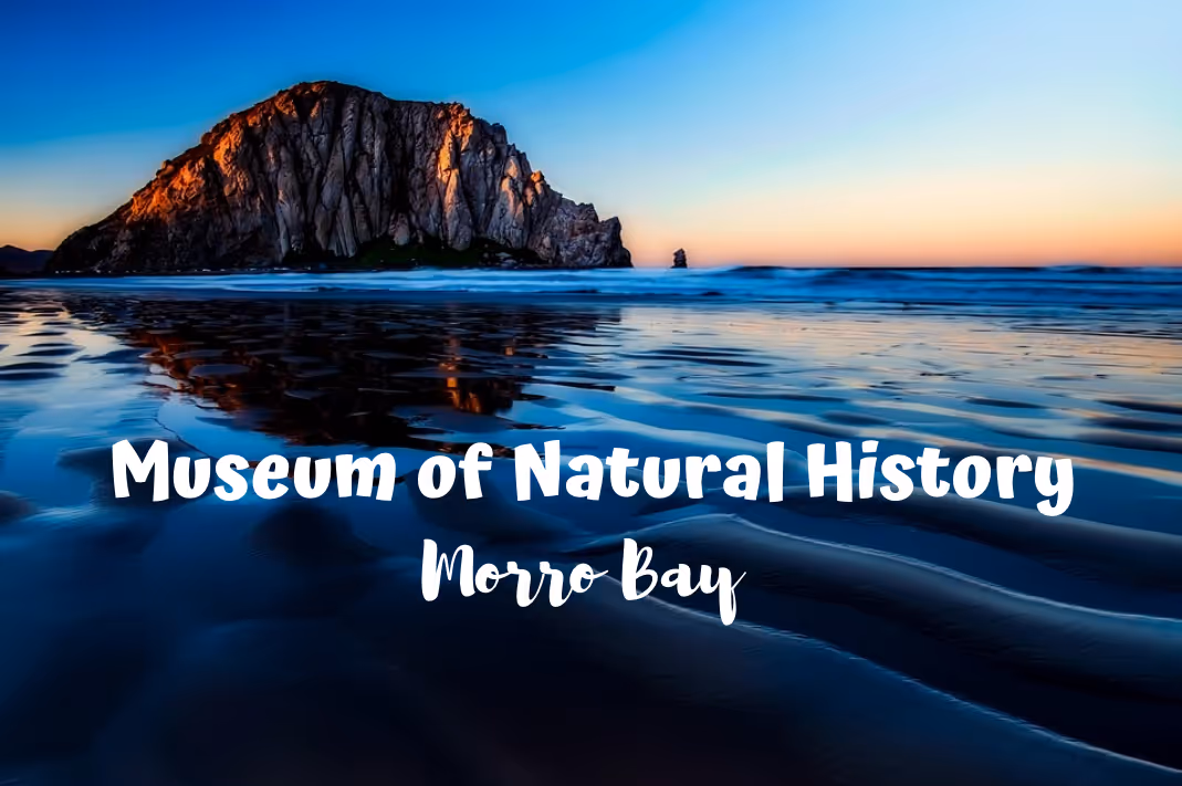 morro bay natural history museum