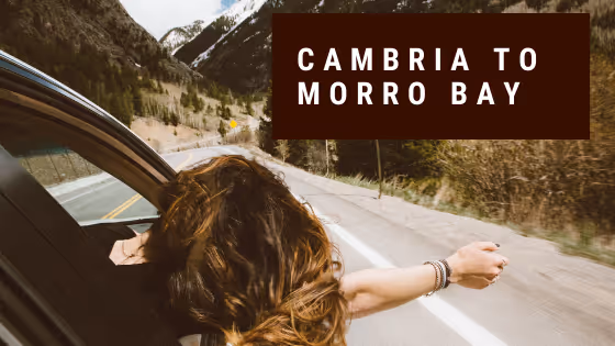 drive from Cambria to Morro Bay, CA