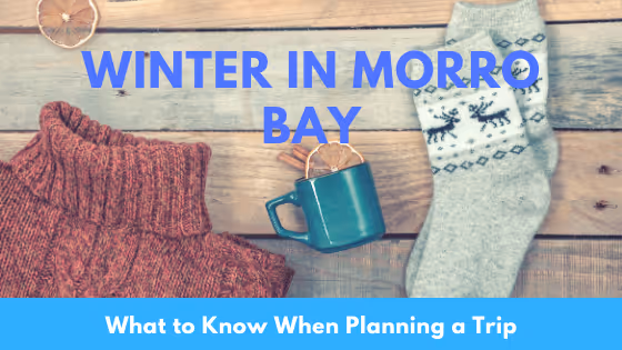 Morro Bay winter