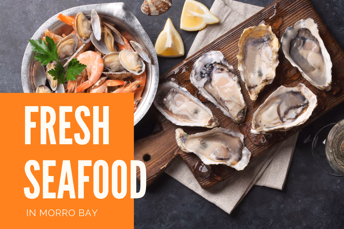 best seafood in Morro Bay