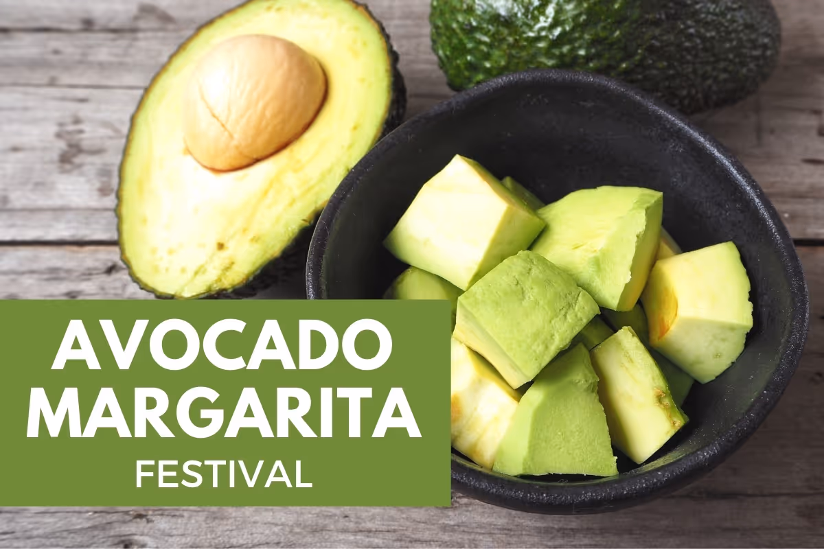 Closeup of an avocado - Avocado Margarita Festival