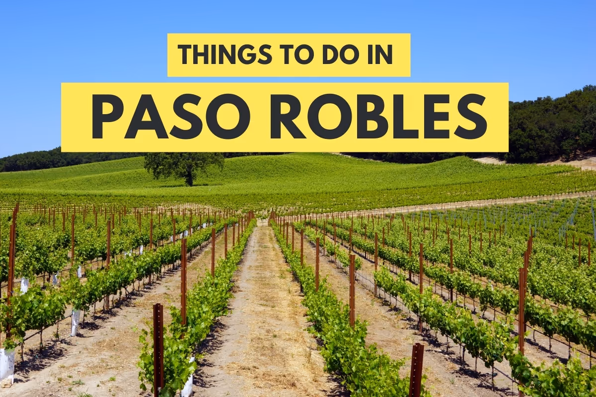 Paso Robles Vineyard