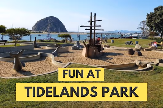Tidelands Park View - Fun at Tidelands Park