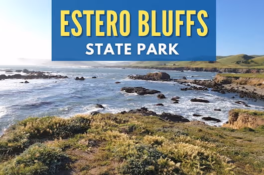 View at Estero Bluffs State Park - Estero Bluffs State Park