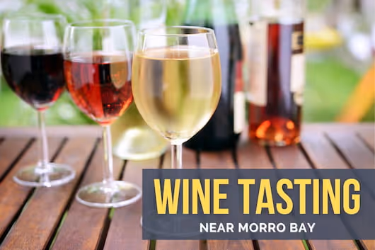 Wine Tasting near Morro Bay - Different types of wines 