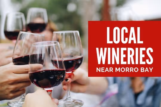 Local Wineries near Morro Bay - Wine tasting