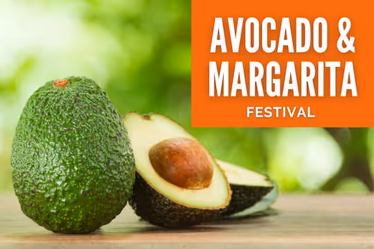 Avocado and Margarita Festival - Avocados