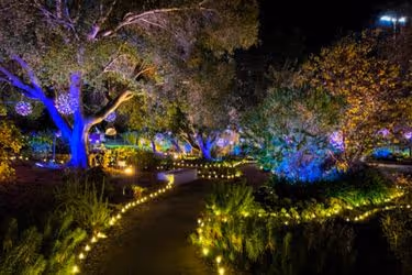 Lights at the garden