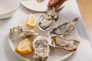 Fresh Oysters