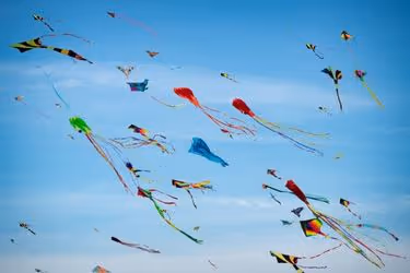 Many kites flying in the sky