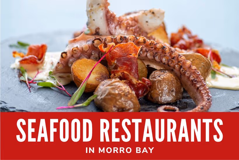 Seafood Restaurants in Morro Bay - Seafood plate