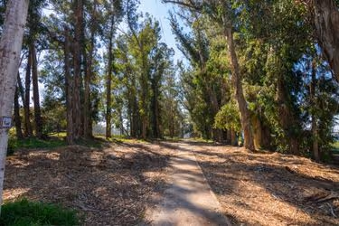 Los Osos Oaks State Natural Reserve