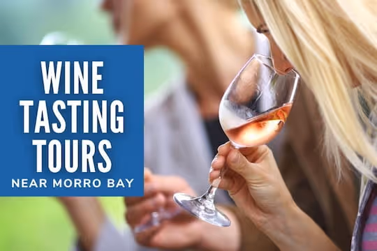 Wine Tasting Tours Near Morro Bay - Woman wine tasting