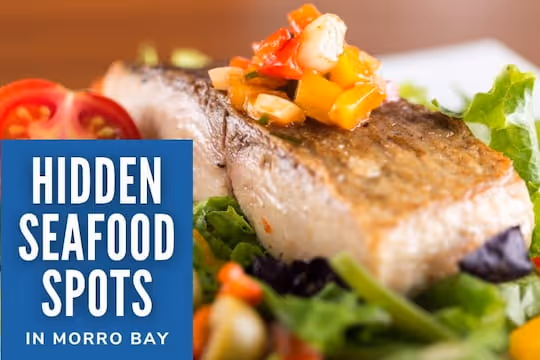 Hidden Seafood Spots in Morro Bay - Fish Dish