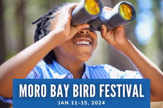 2024 Morro Bay Bird Festival: Jan 11-15