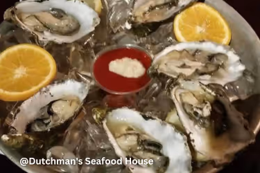 Fresh Oysters with lemon