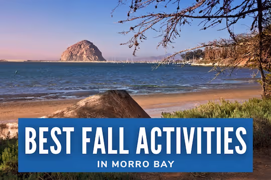 Best Fall Activities in Morro Bay