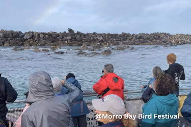 Group of people bird watching