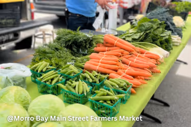 Morro Bay Farmers Market
