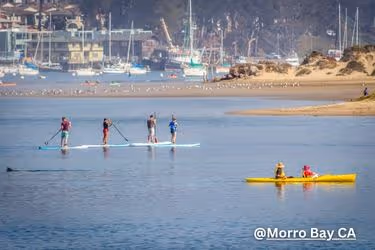 People paddleboarding and kayaking near Morro Rock
