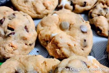 Chocolate Chip Cookie