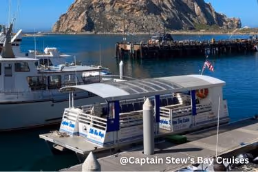 Captain Stew’s Bay Cruise's Boat