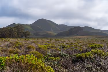 Montaña de Oro State Park