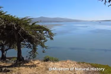 Museum of Natural History View