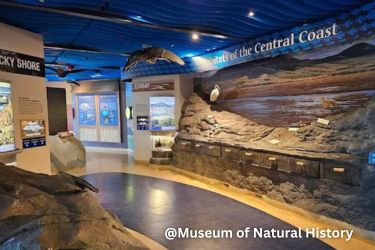Guided Walks at Museum of Natural History in Morro Bay