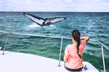 Woman watching a whale from a boat