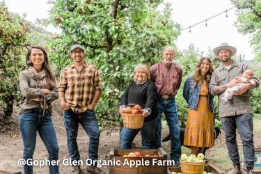 Group of friends and family picking apples
