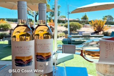 SLO Coast Wine tasting