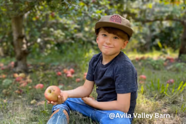 Kid holding an apple at Avila Valley Barn