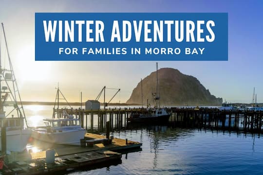 Winter Adventures for Families in Morro Bay