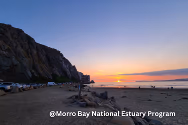 Morro Bay Estuary