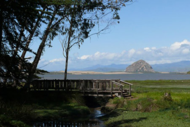 Sweet Springs Nature Preserve