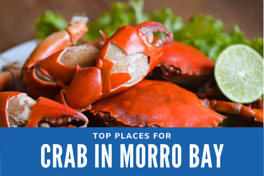 Top Places for Crab in Morro Bay - Crab dish