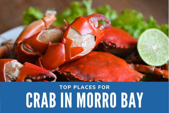 Top Places for Crab in Morro Bay - Crab dish