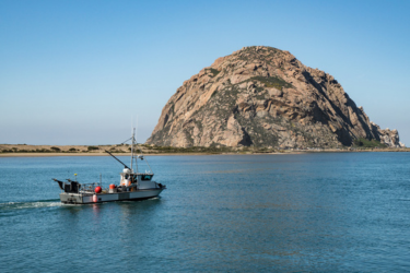 Charter near Morro Rock