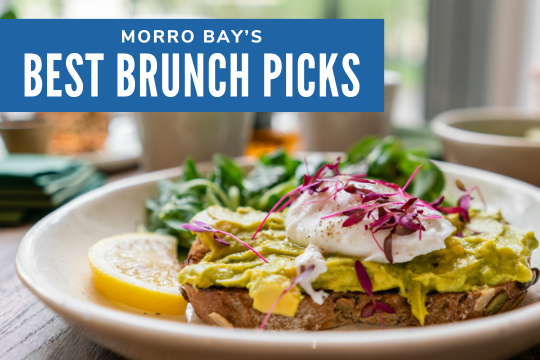 Morro Bay’s Best Brunch Picks - Plate of Avocado Toast
