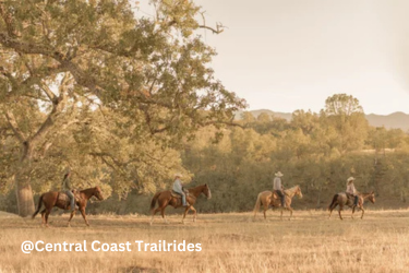 Central Coast Trailrides - 4 horses following a trail