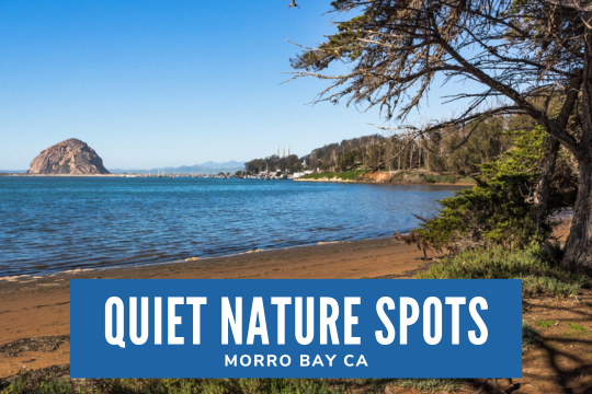 Serene Outdoor Spots Around Morro Bay CA